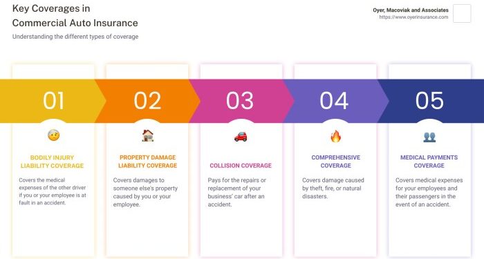 Top Commercial Auto Insurance Options in Florida: Everything You Need ...