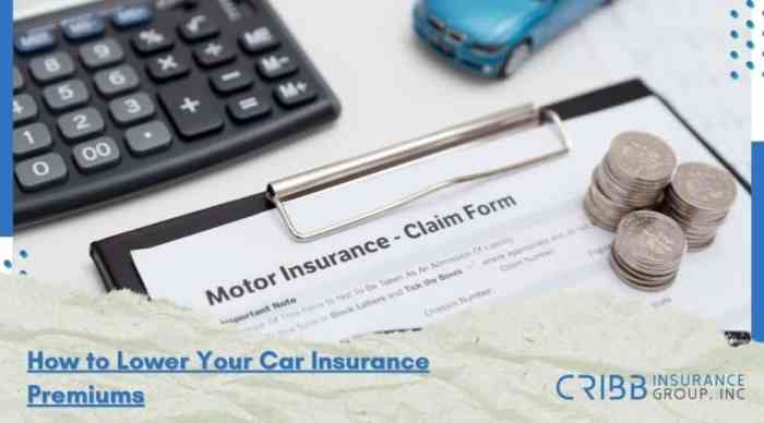 How To Lower Geico Car Insurance (2023) - YouTube